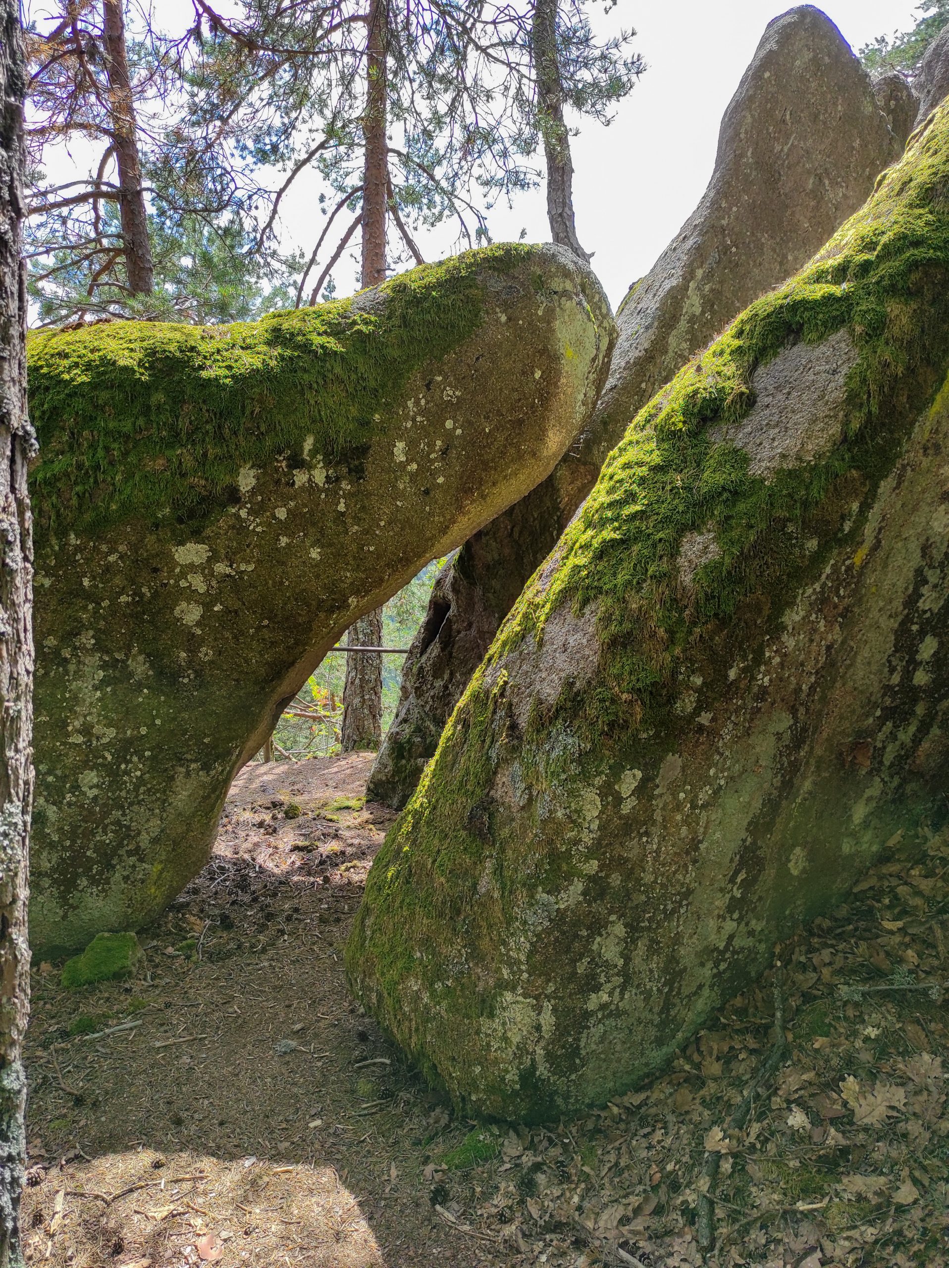 Igellochfelsen